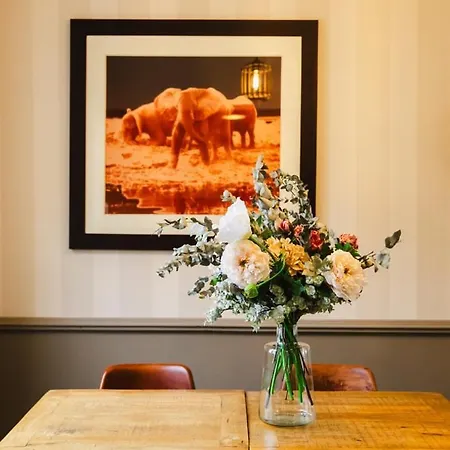 Casa Balta — Chic And Practical At Rives De L'orne 公寓 凯恩